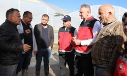 TMO sahaya indi: Hortum sonrası Antalya’da hasar çalışması yapıldı