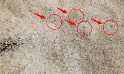 Antalya’da marketten alınan pirinç böcekli çıktı