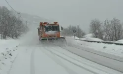 Kar ve tipi ulaşımı durdurdu! Karaman-Mersin hattında 3 yol kapalı