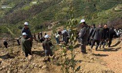 Alanya’da fidanlar toprakla buluştu!