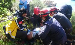 20 metreden düştü, hayatını incir ağacı kurtardı!