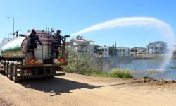 Antalya’da sivrisineğe karşı seferberlik ilan edildi!