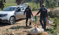 Antalya’da onlarca balıkçıya yasal işlem uygulandı