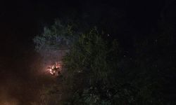 Alanya'da orman yangını! 1 dönüm alan zarar gördü