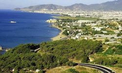 Sahillerdeki orman arazilerinde yağma sezonu açıldı!