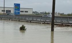 Berdan Irmağı geçit vermiyor: Ulaşım hattı kesilecek mi?