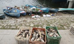 Beyşehir Gölü’nde balıkçılar neden kıyıya çekiliyor?