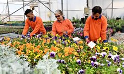 Muratpaşa Belediyesi üretiyor, Antalya çiçek açıyor