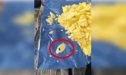 Antalya’da oğluna aldığı cips paketinden böcek çıktı