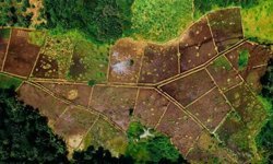 Antalya’da hazine arazileri satışa çıkıyor