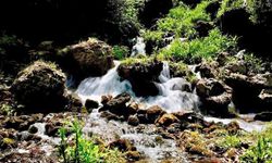 Kirli suyu halka içirip temiz kaynak suyuna HES yapacaklar!