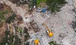 Kemer’de otel uğruna ağaç katliamı!