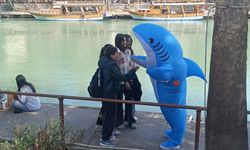 Dikkat! Antalya'da karşınıza köpek balığı çıkabilir