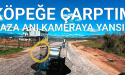 Antalya yollarında sokak canlarını ve sürücüleri kim koruyacak?