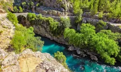 Aliye Coşar: “Milli parklar rant kapısına dönüştürülüyor”