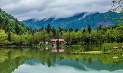 Milli parklar için verilen o karar, çevrecileri isyan ettirdi: 99 yıllık devir mi başlıyor?