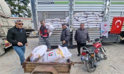 Antalya tarımında nohut atağı: İki ilçede dağıtıldı