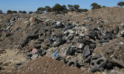 Kumköy kumsalında çevre skandalı!