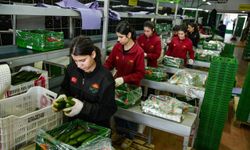 İran savaşı ihracat dengelerini bozdu: Rusya yönünü Türkiye'ye çevirdi