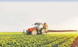 Antalyalı çiftçi üretim tercihini değiştiriyor! Üretim maliyeti yüksek ürünler bu yıl ekilmedi