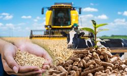 Tarımda maliyetler arttı! Girdi fiyatları çiftçiyi zorluyor
