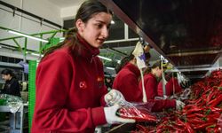 Türkiye’nin sebze üretim üssü Antalya’dan 64 ülkeye ihracat