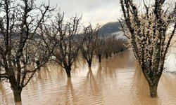 Elmalı'yı sel aldı! Dereler taştı, mahsuller sular altında kaldı