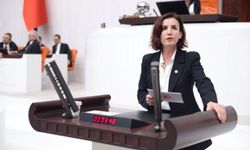 CHP’li Aliye Coşar: “Turizmde ulaşım sorunu çözülemiyor”