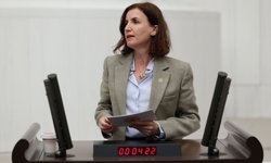 Aliye Coşar: “Kadın politikaları, günü kurtarmaya yönelik”