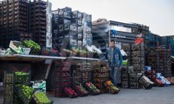 Antalya halinde fiyatlar uçuşta! 21 Nisan 2026 tezgah fiyatları