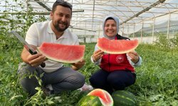 Antalya’da ilk karpuz heyecanı! Üreticide 40, tezgâhta 60 lira
