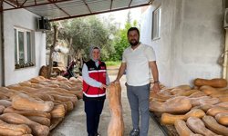 Antalyalı çiftçi yazın üretiyor, kışın kazanıyor!