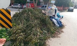 Mahallede çöp isyanı! Dinleyen yok, duyan yok