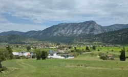 Tarım alanlarını imara açmak belediyelerin hobisi oldu!