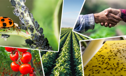 Antalya’ya biyoteknik mücadele desteğinde rekor pay