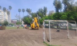 Böcek izin verdi, bürokrasi kaldırmak istedi: Antalya’da sahaya kriz!