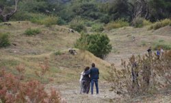 Antalya Lara Plajı yakınında sır ölüm