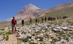 Etkileşim için hayatınızı tehlikeye atmayın!