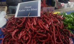 Antalya’da biberin tadı kaçtı, esnaf isyan etti: “Hayat kadar acı”
