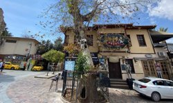 Kaleiçi’nde kameranın önünde skandal! 1000 yıllık çınara çivi çaktılar!