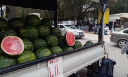 Antalya’da sezonun ilk karpuzu tezgahlarda: Fiyatı dikkat çekti