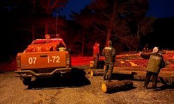 Antalya’da ormanlık alanda kaçak kesim! Suçüstü yakalandılar