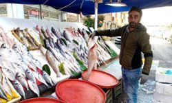 Antalya'da balık pazarı coştu! Hamsi 200 TL