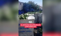 Alanya'da salatalık krizi! Fiyatı düşünce çöpe döktüler