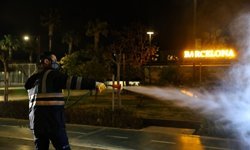 Antalya'da sinek alarmı: Ekipler gece-gündüz ilaçlıyor