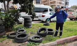 Antalya Büyükşehir'den 'sivrisinek' mesaisi