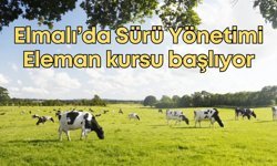 Elmalı’da Sürü Yönetimi Eleman kursu başlıyor