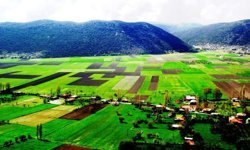 Toprak, su ve gıdanın geleceği için işbirliği çağrısı