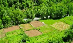 Tarımda geniş tabanlı örgütlenme adımı