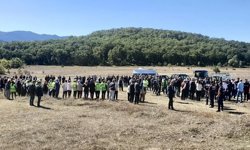 Tokat’ta 60 bin ağaç için hukuk savaşı!